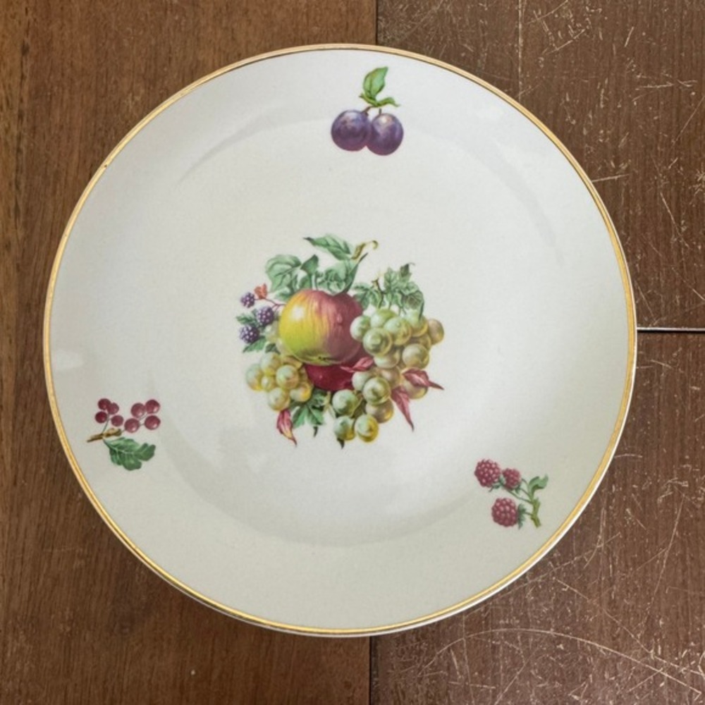 Naaman Israel Fruit Motif Ceramic Dinner Plate - Picture 1 of 4
